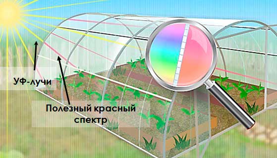 сотовый поликарбонат